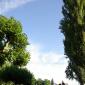 Neu_IMGP8308
