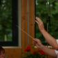 Neu_IMGP0883