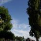 Neu_IMGP8307