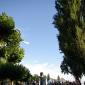 Neu_IMGP8309