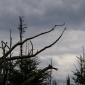 Neu_IMGP0135