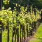 2012-05-12 Ausflug Stuttgart - 144